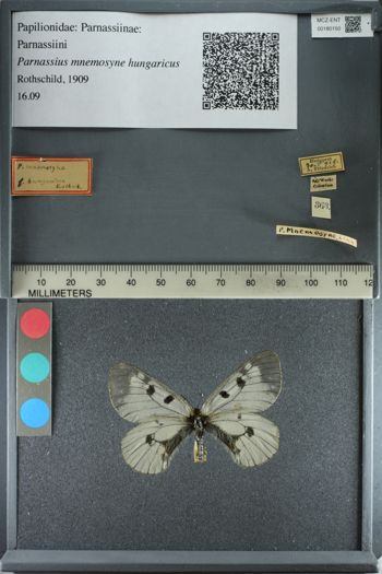 Media type: image;   Entomology 180150